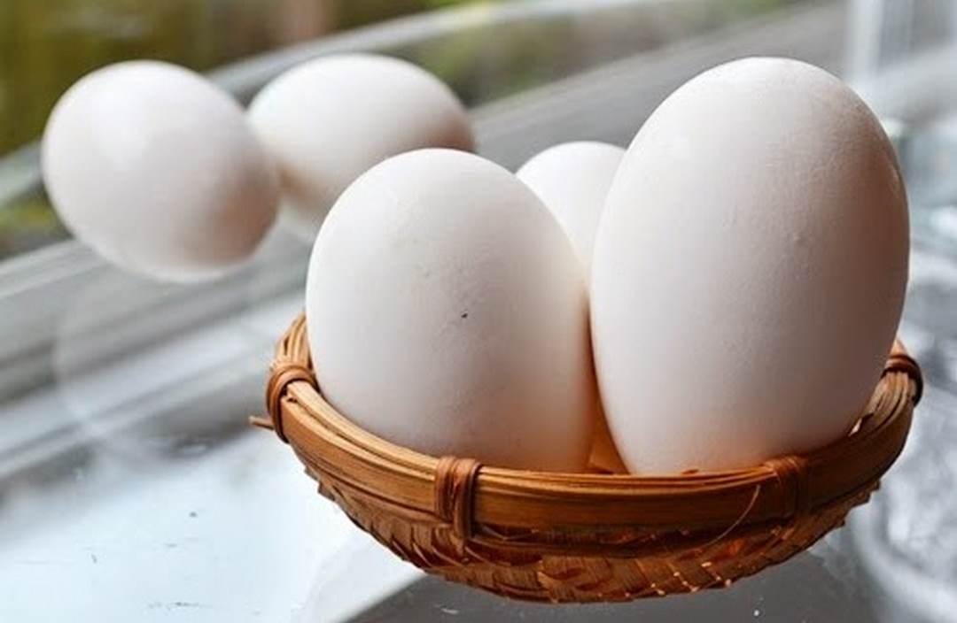 Ý nghĩa khi nằm mơ thấy trứng ngỗng chi tiết nhất