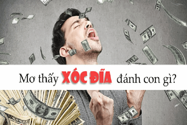 Lý giải điềm báo khi nằm mơ thấy đánh xóc đĩa chi tiết nhất