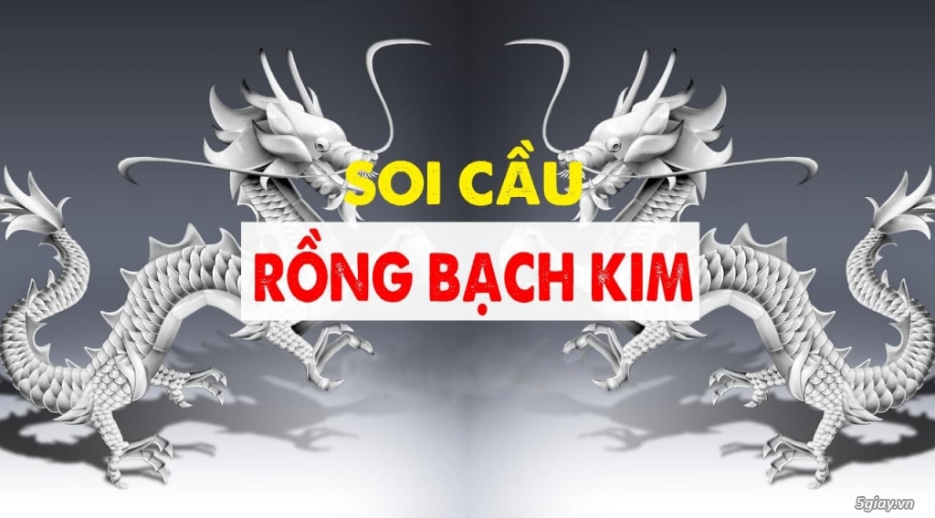 Rồng bạch kim – Soi cầu rồng bạch kim chốt số MB chuẩn từ cao thủ