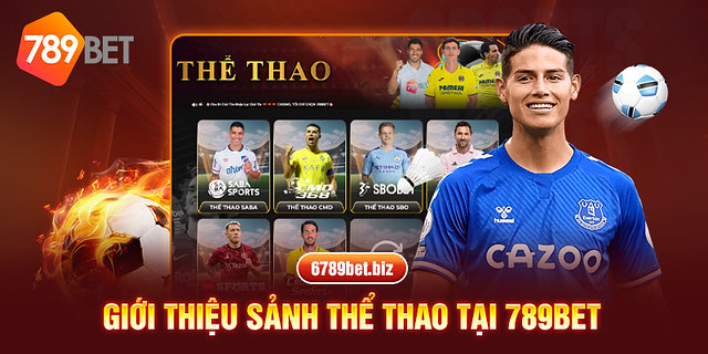  Thể Thao 789bet – Sân Chơi Cá Cược Hấp Dẫn Dành Cho Người Đam Mê