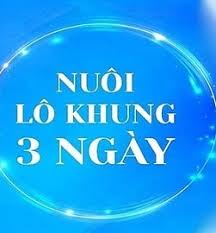 Bí Kíp Nuôi Lô Khung 3 Ngày Chính Xác Tại SoiCauHay247